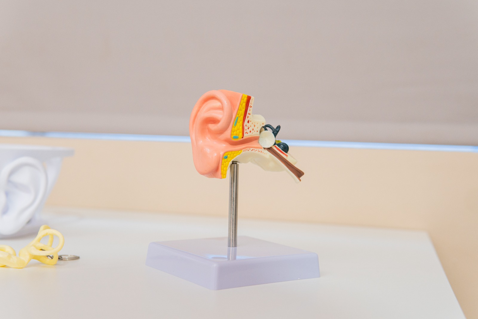 WhatsApp Image 2026-04-16 at 09.09.33 (1)